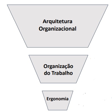 organizaçao do trabalho estrutura