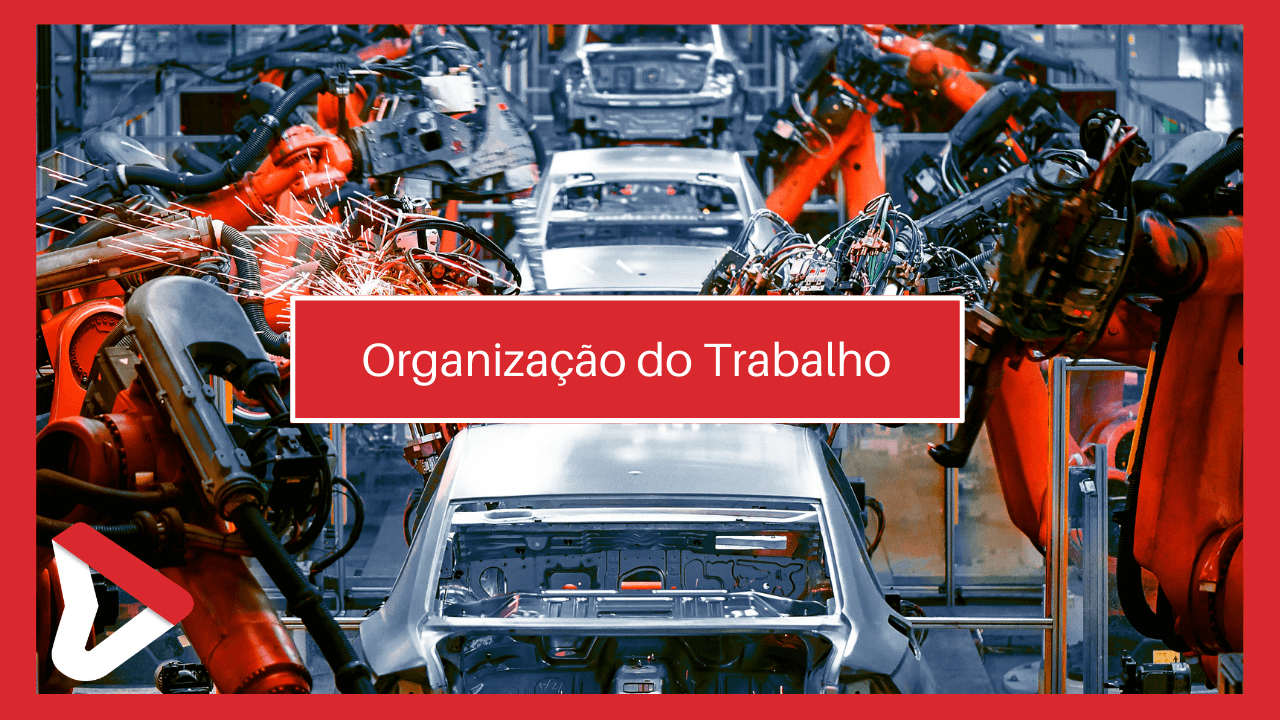 Organização do trabalho na sua empresa